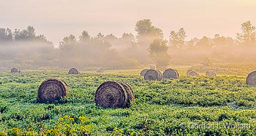 Bales In Misty Sunrise_45554-6.jpg - Photographed near Rosedale, Ontario, Canada.